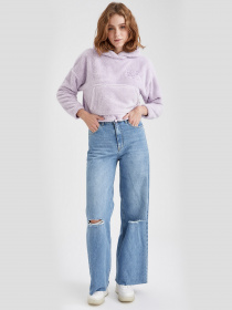 Худи DeFacto модель S7626AZ-PR410 Фото