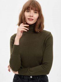 Водолазка DeFacto модель H1651AZ-KH312 Фото