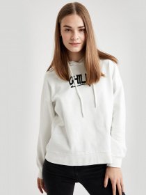 Худі DeFacto модель T5130AZ-WT34 Фото