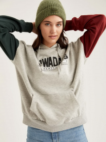 Худи DeFacto модель S1175AZ-GR210 Фото