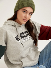 Худі DeFacto модель S1175AZ-GR210 Фото