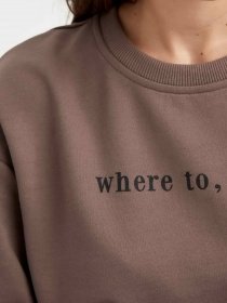 Світшот DeFacto модель T1150AZ-BG212 Фото