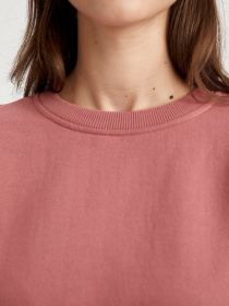 Свитшот DeFacto модель N2201AZ-BR154 Фото