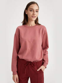 Світшот DeFacto модель N2201AZ-BR154 Фото