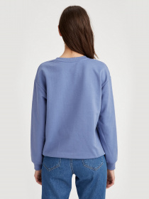 Світшот DeFacto модель S7112AZ-BE228 Фото