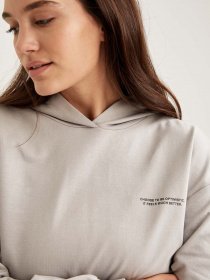 Худи DeFacto модель S1114AZ-GR247 Фото