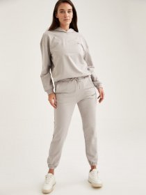 Худи DeFacto модель S1114AZ-GR247 Фото