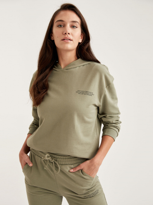 Худи DeFacto модель S1114AZ-KH330 Фото