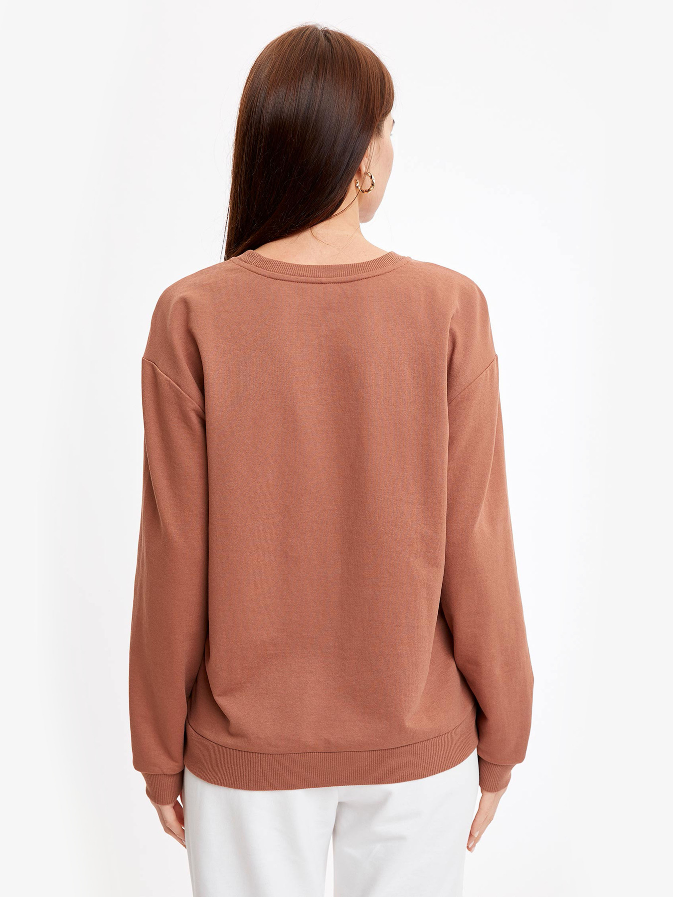 Свитшот DeFacto модель M0021AZ-BN348 Фото