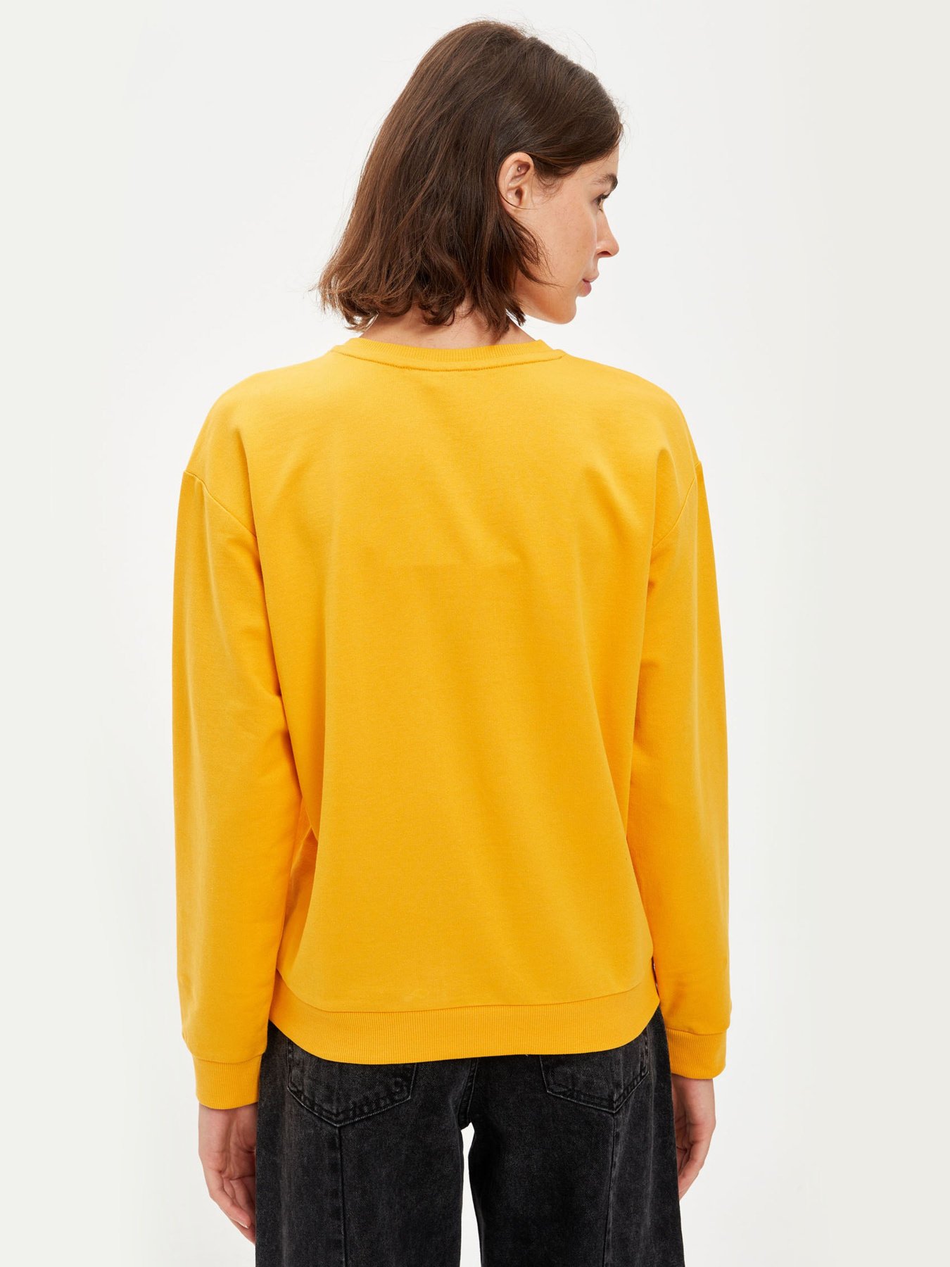 Свитшот DeFacto модель S1332AZ-YL43 Свитшот DeFacto модель S1332AZ-YL43 Фото