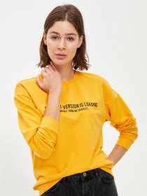 Свитшот DeFacto модель S1332AZ-YL43 Свитшот DeFacto модель S1332AZ-YL43 Фото