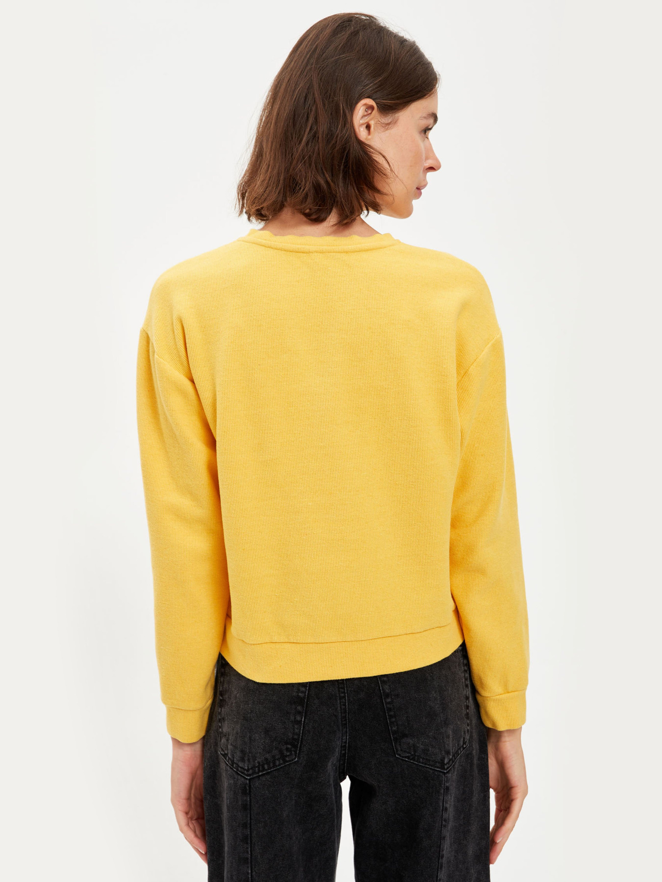 Світшот DeFacto модель S1158AZ-ER177 Фото