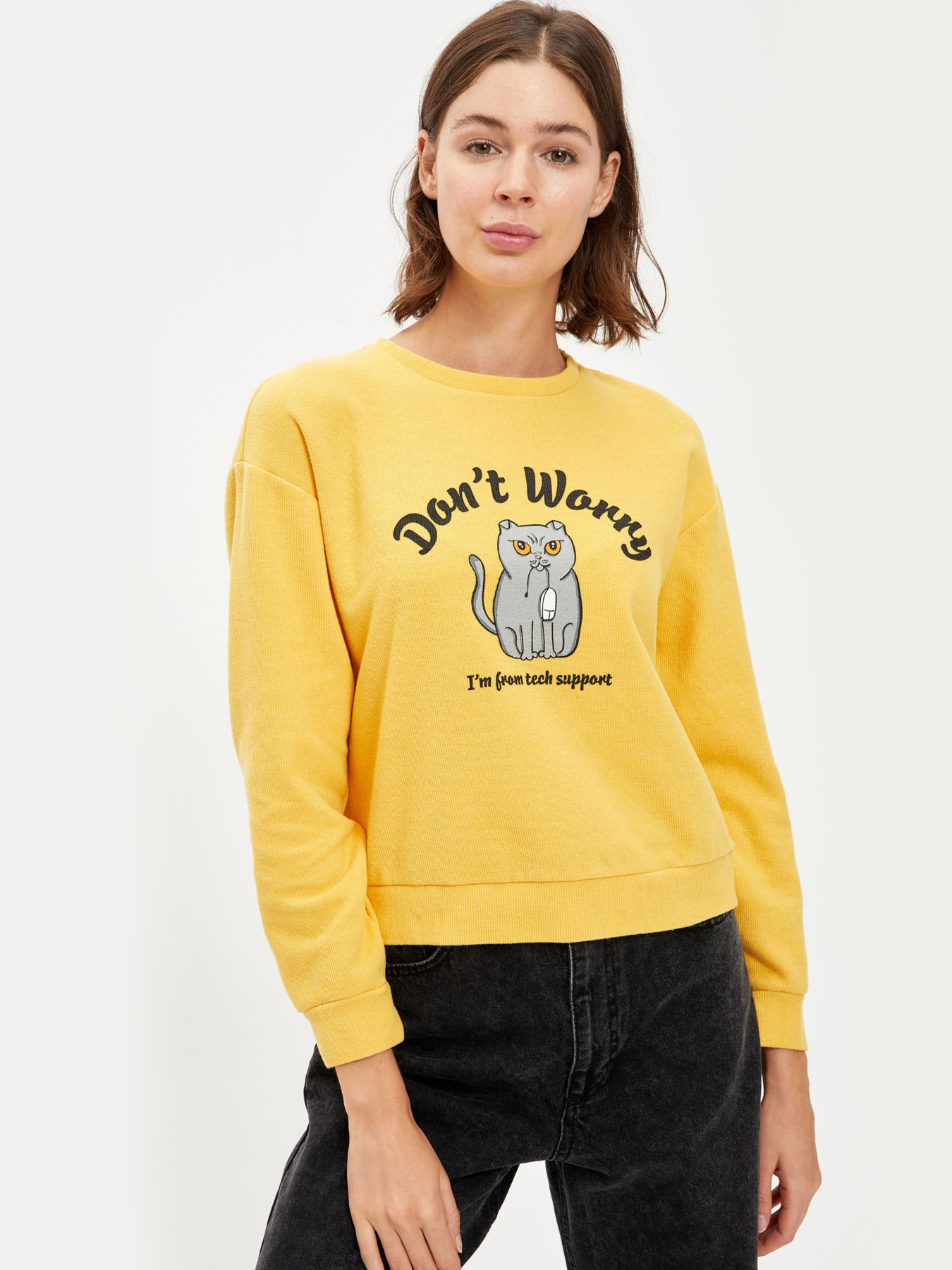 Світшот DeFacto модель S1158AZ-ER177 Фото