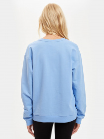 Світшот DeFacto модель S1155AZ-BE552 Фото