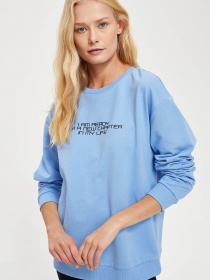 Світшот DeFacto модель S1155AZ-BE552 Фото