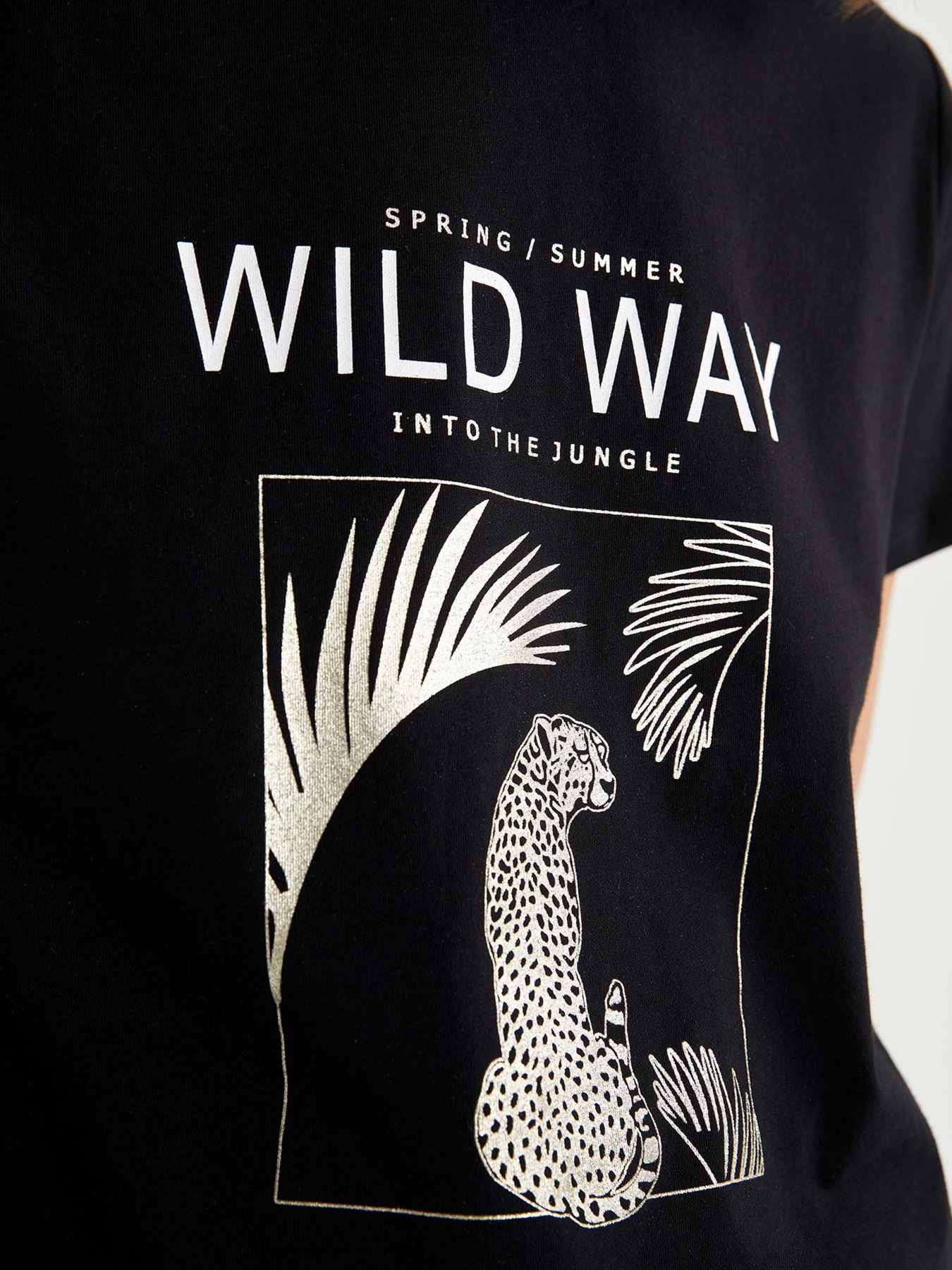 Футболки и поло DeFacto модель U7512AZ-BK27 Фото