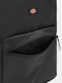 Рюкзак Dickies Chickaloon модель DK0A4XIQBLK1 Фото