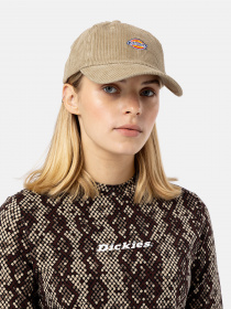 Кепка Dickies Hardwick модель DK0A4Y2MKHK1 Фото
