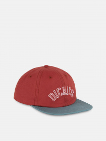 Кепка Dickies Oxford модель DK0A4YHVG041 Фото