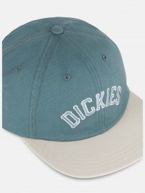 Кепка Dickies Oxford модель DK0A4YHVG071 Фото