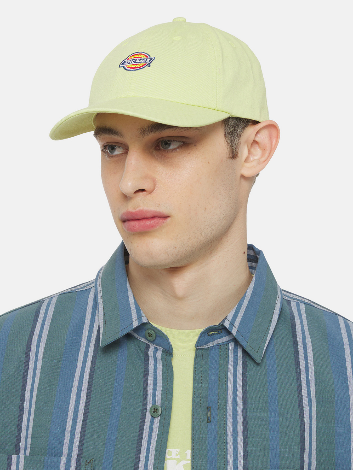 Кепка Dickies Hardwick модель DK0A4TKVH141 Фото