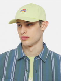 Кепка Dickies Hardwick модель DK0A4TKVH141 Фото