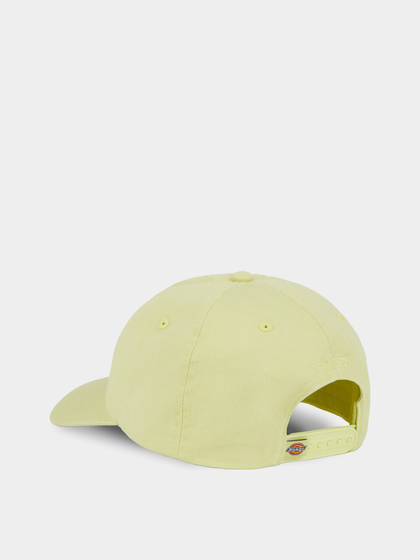 Кепка Dickies Hardwick модель DK0A4TKVH141 Фото