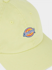 Кепка Dickies Hardwick модель DK0A4TKVH141 Фото
