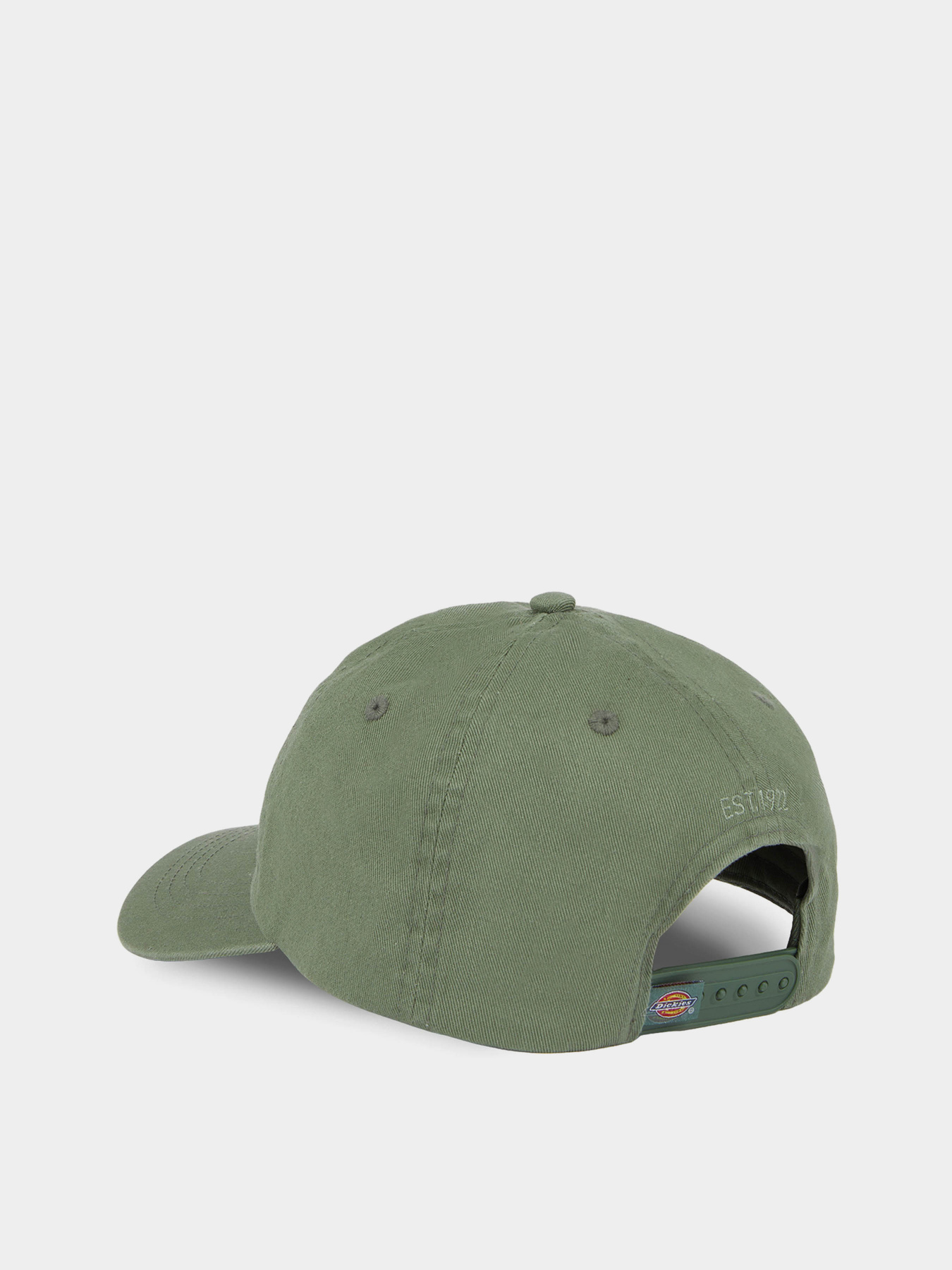 Кепка Dickies Hardwick модель DK0A4TKVH151 Фото