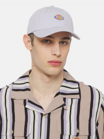 Кепка Dickies Hardwick модель DK0A4TKVH181 Фото