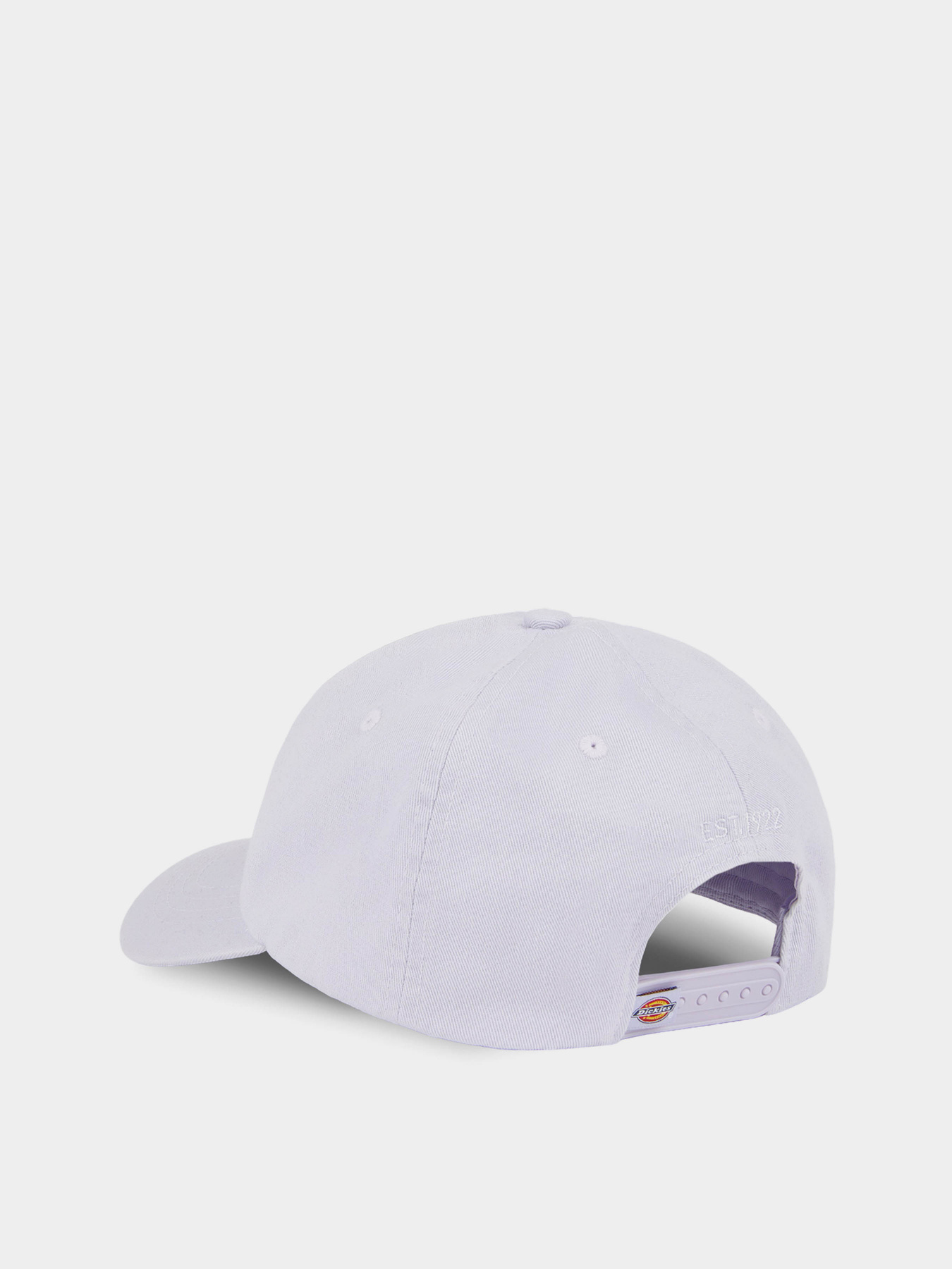 Кепка Dickies Hardwick модель DK0A4TKVH181 Фото