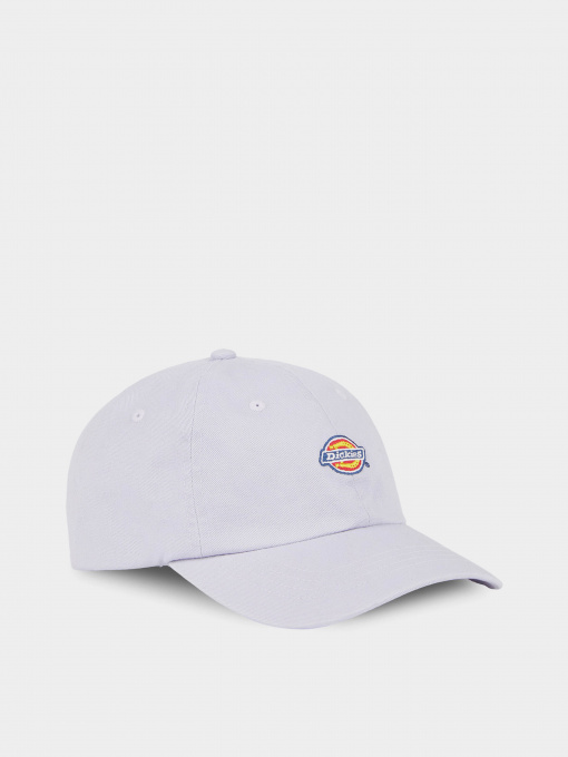 Кепка Dickies Hardwick модель DK0A4TKVH181 Фото