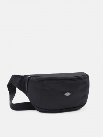 Поясная сумка Dickies Blanchard модель DK0A4X8QBLK1 Фото