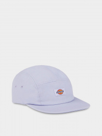 Кепка Dickies Albertville модель DK0A4XC1H181 Фото