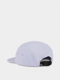 Кепка Dickies Albertville модель DK0A4XC1H181 Кепка Dickies Albertville модель DK0A4XC1H181 Фото