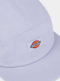 Кепка Dickies Albertville модель DK0A4XC1H181 Кепка Dickies Albertville модель DK0A4XC1H181 Фото