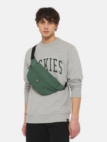 Поясная сумка Dickies Duck Canvas модель DK0A4XOYH151 Фото
