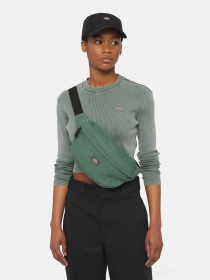 Поясная сумка Dickies Duck Canvas модель DK0A4XOYH151 Фото