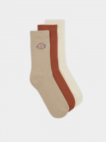 Набір шкарпеток Dickies Valley Grove модель DK0A4X82SS01 Фото