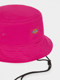 Панама Dickies Clarks Grove Bucket модель DK0A4XXSH191 Панама Dickies Clarks Grove Bucket модель DK0A4XXSH191 Фото