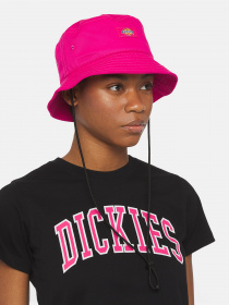 Панама Dickies Clarks Grove Bucket модель DK0A4XXSH191 Панама Dickies Clarks Grove Bucket модель DK0A4XXSH191 Фото