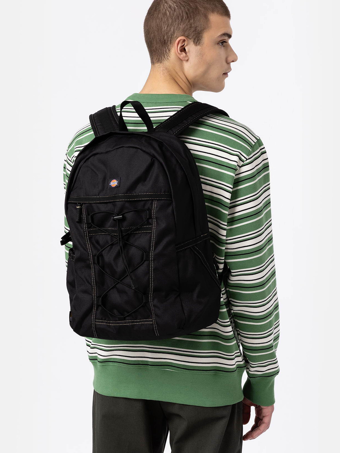 Рюкзак Dickies Ashville модель DK0A4Y33BLK1 Фото