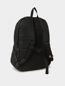 Рюкзак Dickies Ashville модель DK0A4Y33BLK1 Фото