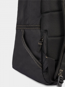 Рюкзак Dickies Ashville модель DK0A4Y33BLK1 Фото