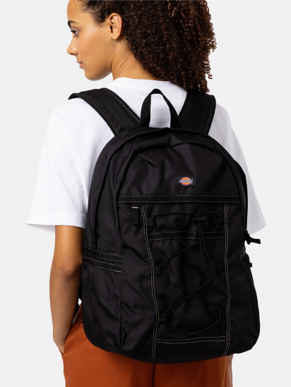 Рюкзак Dickies Ashville модель DK0A4Y33BLK1 — фото 5 - INTERTOP