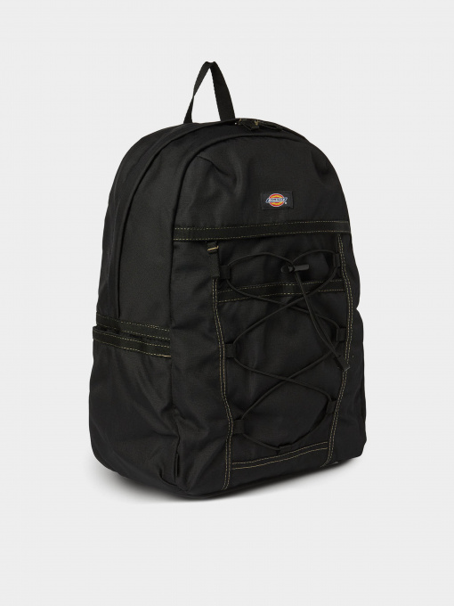 Рюкзак Dickies Ashville модель DK0A4Y33BLK1 Фото