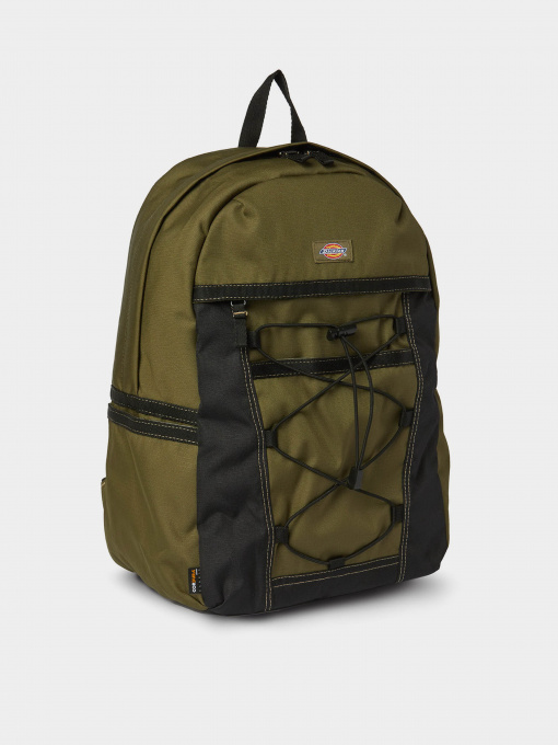 Рюкзак Dickies Ashville модель DK0A4Y33MGR1 Фото