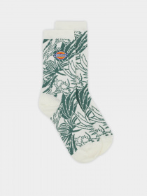 Носки Dickies Max Meadows модель DK0A4YPSC581 Фото