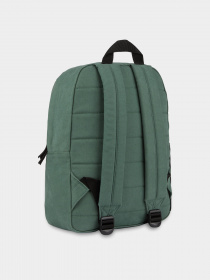 Повседневный рюкзак Dickies Duck Canvas модель DK0A4YOCH151 Фото