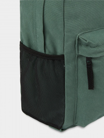 Повседневный рюкзак Dickies Duck Canvas модель DK0A4YOCH151 Фото